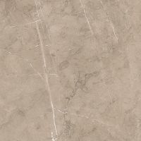 Керамогранит Porcelanite Dos 8215 Vision 50х50 см арт-PCD000026 — фото 1, Керамогранит