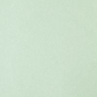 Обои Bernardo Bartalucci Legend Флизелин (1,06*10) Голубой, Однотонные арт-5068-75 — фото 1, Обои для стен