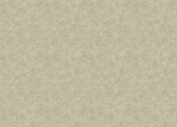 Обои Grandeco Ciara Винил на флизелине (0,53*10,05) Зеленый, Штукатурка арт-A 53709 — фото 2, Обои для стен