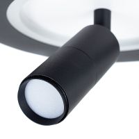 Потолочный светильник Artelamp Tommy Белый Черный арт-A2607AP-20BK — фото 3, Споты