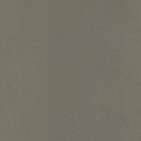 Обои RASCH Club Винил на флизелине (0,53*10,05) Серый, Однотонные арт-418668 — фото 1, Обои для стен