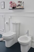 Товар: Унитаз компакт Jacob Delafon Cleo 1889 без бачка и сиденья арт-UJAC102-0 - фото 4 Унитаз компакт Jacob Delafon Cleo 1889 без бачка и сиденья арт-UJAC102-0 — фото 4, Напольные унитазы