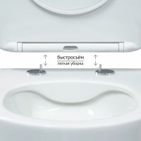 Комплект унитаза Berges Ventas Rimless с инсталляцией Novum с сиденьем Микролифт и Черной SoftTouch клавишей смыва арт-043344 — фото 5, Комплекты унитаз + инсталляция
