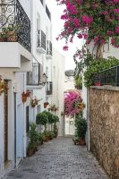 Товар: Фреска Ortograf Городской пейзаж 4617 Фактура бархат FX Флизелин (1,8*2,7) Разноцветный, Город/Цветы арт-4617 (бархат FX) - фото 2 Фреска Ortograf Городской пейзаж 4617 Фактура бархат FX Флизелин (1,8*2,7) Разноцветный, Город/Цветы арт-4617 (бархат FX) — фото 2, Фрески