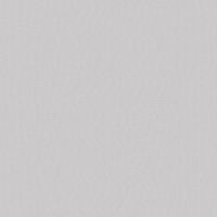 Обои LOYMINA Shade 2 Винил на флизелине (1*10,05) Серый, Однотонные арт-SDR1 001/1 — фото 1, Обои для стен