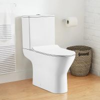 Унитаз компакт WesnaArt Ocean с бачком и сиденьем Микролифт арт-102-OCE12 — фото 3, Напольные унитазы