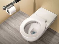 Унитаз Geberit Selnova Comfort подвесной без сиденья арт-500.262.01.1 — фото 2, Подвесные унитазы