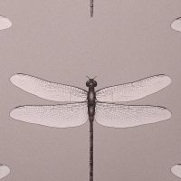 Обои Andrea Rossi Cavolli Винил на флизелине (1,06*10,05) Розовый, Насекомые арт-54426-4 — фото 1, Обои для стен