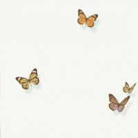 Обои Andrea Rossi Spectrum max Винил на флизелине (1,06*10) Желтый/Оранжевый, Бабочки арт-54363-4 — фото 1, Обои для стен