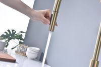 Смеситель для кухни Paulmark Senso Светлое брашированное золото арт-Se215180-SBG — фото 10, Смесители для кухни