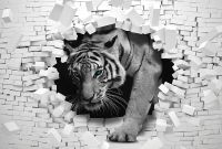 Товар: Фреска Ortograf 3D 33261 Фактура бархат золото FX-G Флизелин (4*2,7) Белый/Серый, Кирпич/Животные арт-33261 (бархат золото FX-G) - фото 2 Фреска Ortograf 3D 33261 Фактура бархат золото FX-G Флизелин (4*2,7) Белый/Серый, Кирпич/Животные арт-33261 (бархат золото FX-G) — фото 2, Фрески