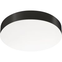 Потолочный светильник Arlight Emergency Белый/Черный арт-041106 — фото 1, Накладные светильники