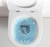 Товар: Унитаз компакт Ceruttispa Sella GW CT с бачком и сиденьем Микролифт арт-9864 - фото 6 Унитаз компакт Ceruttispa Sella GW CT с бачком и сиденьем Микролифт арт-9864 — фото 6, Напольные унитазы