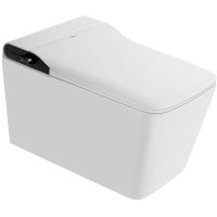 Унитаз биде Abber Rechteck подвесной с сиденьем Микролифт арт-AC1215S — фото 1, Умные унитазы