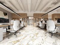 Керамогранит Realistik Lima Polished Gold Carving 60х120 см арт-77055 — фото 5, Керамогранит