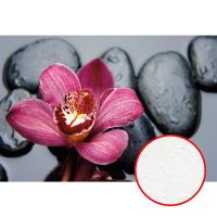 Фреска Ortograf Цветы 30962 Фактура бархат FX Флизелин (4*2,7) Розовый/Черный, Цветы арт-30962 (бархат FX) — фото 1, Фрески