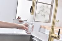 Смеситель для кухни Paulmark Universal Светлое брашированное золото арт-Un213880-SBG — фото 10, Смесители для кухни