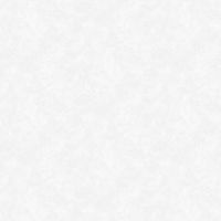 Обои Yasham Echo Винил на флизелине (1,06*10,05) Белый, Штукатурка арт-S-21555-1 — фото 1, Обои для стен