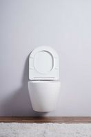 Унитаз Esbano Amapola-N DP подвесной Белый глянцевый с сиденьем Микролифт арт-ESUPAMAPNDPW — фото 6, Подвесные унитазы