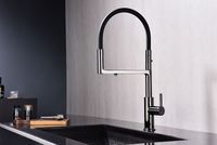 Товар: Смеситель для кухни Paulmark Tornado Черный глянцевый арт-To213402-GB - фото 2 Смеситель для кухни Paulmark Tornado Черный глянцевый арт-To213402-GB — фото 2, Смесители для кухни