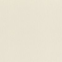 Обои RASCH Ascona Винил на флизелине (1,06*10) Бежевый, Однотонный арт-979367 — фото 1, Обои для стен