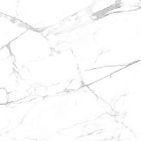 Керамогранит Ceradim Carrara Terrific Silver белый матовый 60х60 см арт-х9999304542 — фото 2, Керамогранит