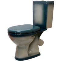 Унитаз компакт Rosa Уют Зеленый декор с бачком и сиденьем арт-4630055558780 — фото 1, Напольные унитазы