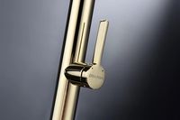 Смеситель для кухни Paulmark Leader Золото арт-Le214101-G — фото 13, Смесители для кухни