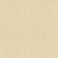 Обои AS Creation Accent Винил на флизелине (1,06*10,05) Бежевый, Штукатурка арт-38507-4 — фото 1, Обои для стен