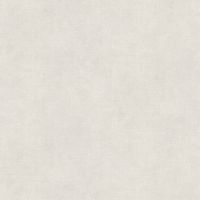 Обои AS Creation Garda Винил на флизелине (1,06*10,05) Белый, Штукатурка арт-38732-6 — фото 1, Обои для стен