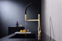 Смеситель для кухни Paulmark Tornado Светлое брашированное золото арт-To213402-SBG — фото 7, Смесители для кухни