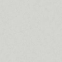 Товар: Обои Grandeco Secret Винил на флизелине (1,06*10,05) Серый/Зеленый, Штукатурка арт-R154032 - фото 3 Обои Grandeco Secret Винил на флизелине (1,06*10,05) Серый/Зеленый, Штукатурка арт-R154032 — фото 3, Обои для стен