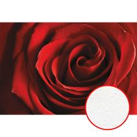 Фреска Ortograf Цветы 3042 Фактура бархат FX Флизелин (4*2,7) Красный, Цветы арт-3042 (бархат FX) — фото 1, Фрески