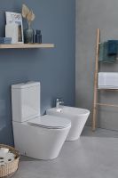 Товар: Унитаз компакт Jacob Delafon Rodin+ без бачка и сиденья арт-UJAB102-00 - фото 6 Унитаз компакт Jacob Delafon Rodin+ без бачка и сиденья арт-UJAB102-00 — фото 6, Напольные унитазы