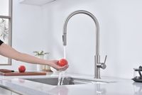 Смеситель для кухни Paulmark Senso Брашированная сталь арт-Se215180-BS — фото 10, Смесители для кухни