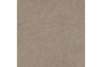 Керамогранит Argenta Light Stone NEW Taupe RC 60х60 см арт-77004 — фото 1, Керамогранит