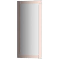 Зеркало Evoform Style 110x50 с зеркальным обрамлением - цвет Бронза арт-BY 0816 — фото 1, Зеркала в ванную комнату