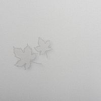 Обои Andrea Rossi Spectrum Pro Винил на флизелине (1,06*10) Серый, Листья арт-54384-4 — фото 1, Обои для стен