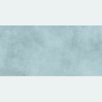 Керамическая плитка Alma Ceramica Richard настенная 24,9х50 см арт-TWU09RCD606 — фото 1, Керамическая плитка