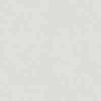 Обои Bernardo Bartalucci Palazzo Флизелин (1,06*10,05) Серый, Штукатурка арт-5046-4 — фото 1, Обои для стен