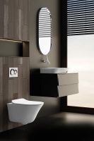 Товар: Унитаз Jacob Delafon Vive подвесной без сиденья арт-E28078RU-0 - фото 6 Унитаз Jacob Delafon Vive подвесной без сиденья арт-E28078RU-0 — фото 6, Подвесные унитазы