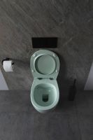 Товар: Унитаз Allen Brau Fantasy подвесной Мятный без сиденья арт-4.11004.MT - фото 12 Унитаз Allen Brau Fantasy подвесной Мятный без сиденья арт-4.11004.MT — фото 12, Подвесные унитазы