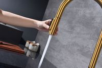 Смеситель для кухни Paulmark Universal Брашированное золото арт-Un213880-BG — фото 9, Смесители для кухни