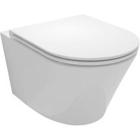 Унитаз Jacob Delafon Rodin+ подвесной без сиденья арт-EDY102-00 — фото 1, Подвесные унитазы