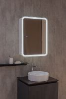Зеркальный шкаф Silver Mirrors Фиджи-2 Flip 60 с подсветкой Белый арт-LED-00002679 — фото 4, Зеркальные шкафы в ванную