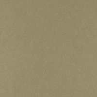 Обои Bernardo Bartalucci Legend Флизелин (1,06*10) Серый, Однотонные арт-5068-71 — фото 1, Обои для стен