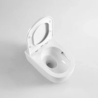 Унитаз Berges Tornas Rimless подвесной с сиденьем Микролифт арт-082137 — фото 5, Подвесные унитазы