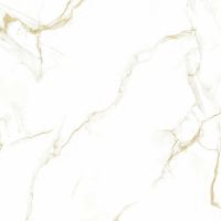 Керамогранит Pardis Ceramic Pazh Helion 60х60 см арт-P16604 — фото 7, Керамогранит