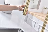 Смеситель для кухни Paulmark Universal Светлое брашированное золото арт-Un213880-SBG — фото 5, Смесители для кухни