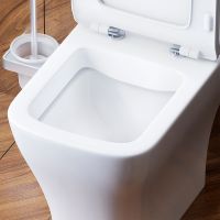 Товар: Унитаз компакт Damixa Titan с бачком и сиденьем Микролифт арт-DX78C8600SC - фото 6 Унитаз компакт Damixa Titan с бачком и сиденьем Микролифт арт-DX78C8600SC — фото 6, Напольные унитазы